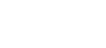 Wise Traffic(R)